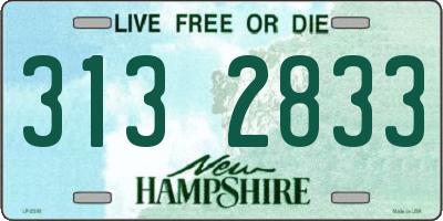 NH license plate 3132833