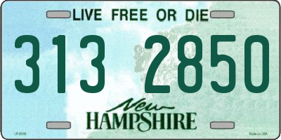 NH license plate 3132850