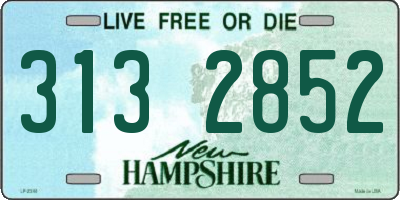NH license plate 3132852