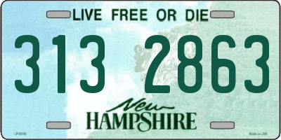 NH license plate 3132863
