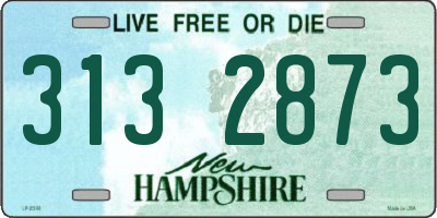 NH license plate 3132873