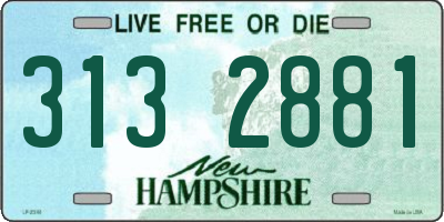 NH license plate 3132881