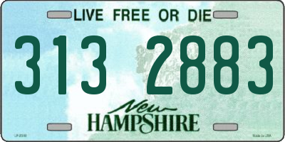 NH license plate 3132883