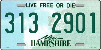 NH license plate 3132901