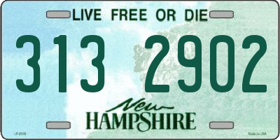 NH license plate 3132902