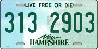 NH license plate 3132903