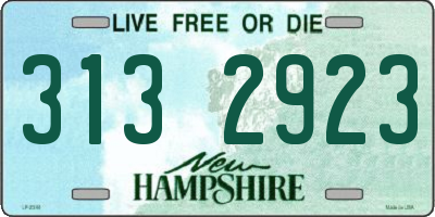 NH license plate 3132923
