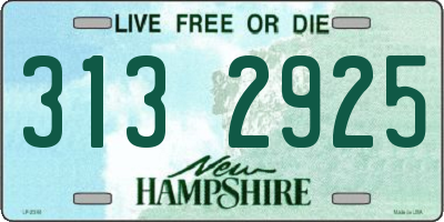 NH license plate 3132925