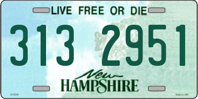 NH license plate 3132951