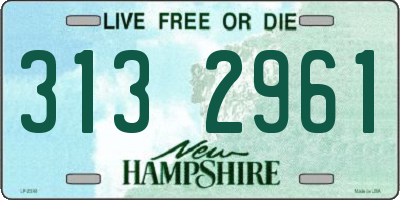 NH license plate 3132961