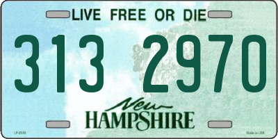 NH license plate 3132970