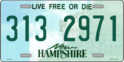 NH license plate 3132971