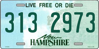 NH license plate 3132973