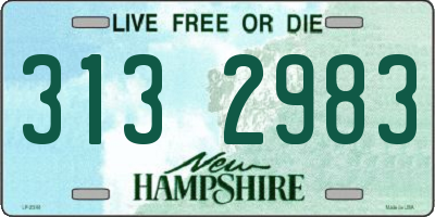 NH license plate 3132983