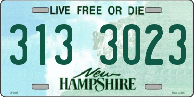 NH license plate 3133023