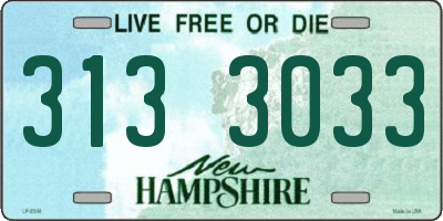 NH license plate 3133033