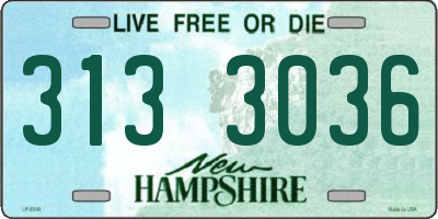 NH license plate 3133036