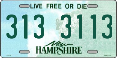 NH license plate 3133113