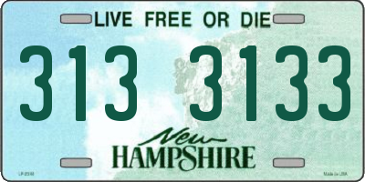 NH license plate 3133133