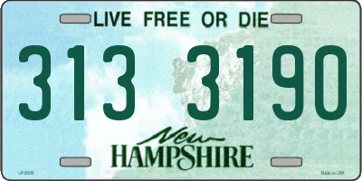 NH license plate 3133190