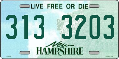 NH license plate 3133203