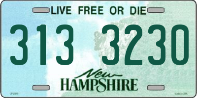 NH license plate 3133230