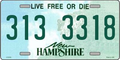 NH license plate 3133318