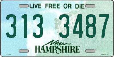 NH license plate 3133487