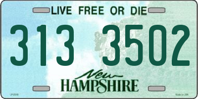 NH license plate 3133502