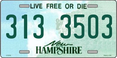 NH license plate 3133503