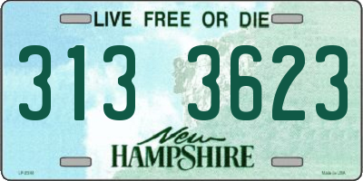 NH license plate 3133623