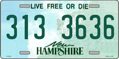 NH license plate 3133636