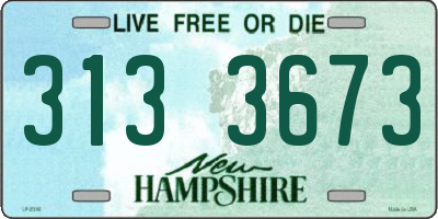 NH license plate 3133673