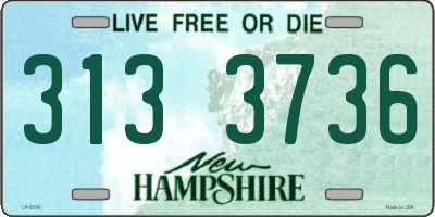 NH license plate 3133736