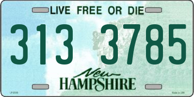 NH license plate 3133785
