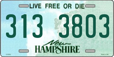 NH license plate 3133803