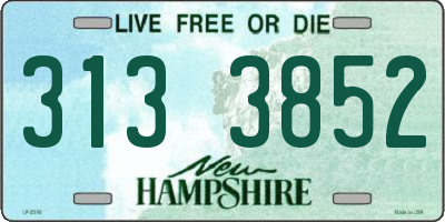 NH license plate 3133852