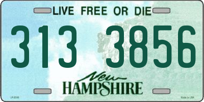NH license plate 3133856