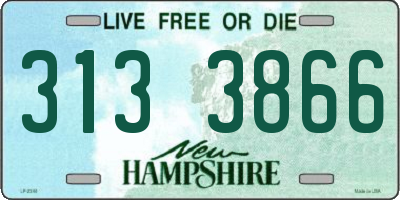 NH license plate 3133866