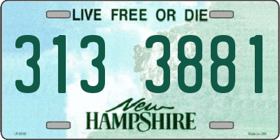 NH license plate 3133881