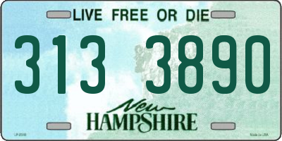 NH license plate 3133890