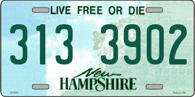 NH license plate 3133902