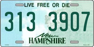 NH license plate 3133907