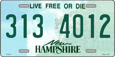 NH license plate 3134012