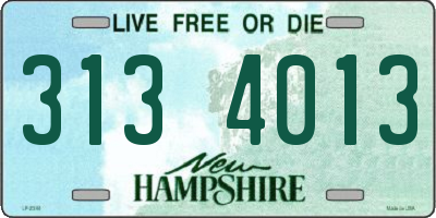 NH license plate 3134013