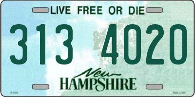 NH license plate 3134020