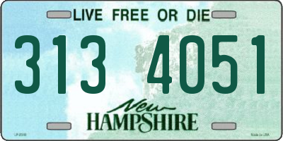 NH license plate 3134051