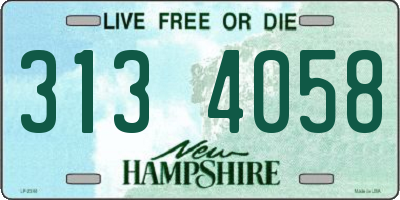 NH license plate 3134058