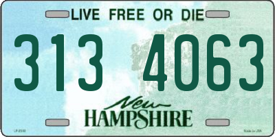 NH license plate 3134063