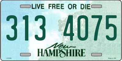NH license plate 3134075